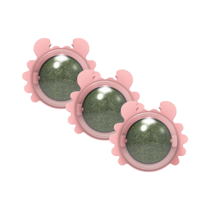 Kattenkruid Snackbal Voor Gelukkige Katten Energiek 6