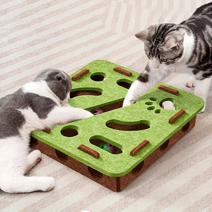 MazeJoy Katten Speelpuzzel – Stimuleer Jachtinstincten 2