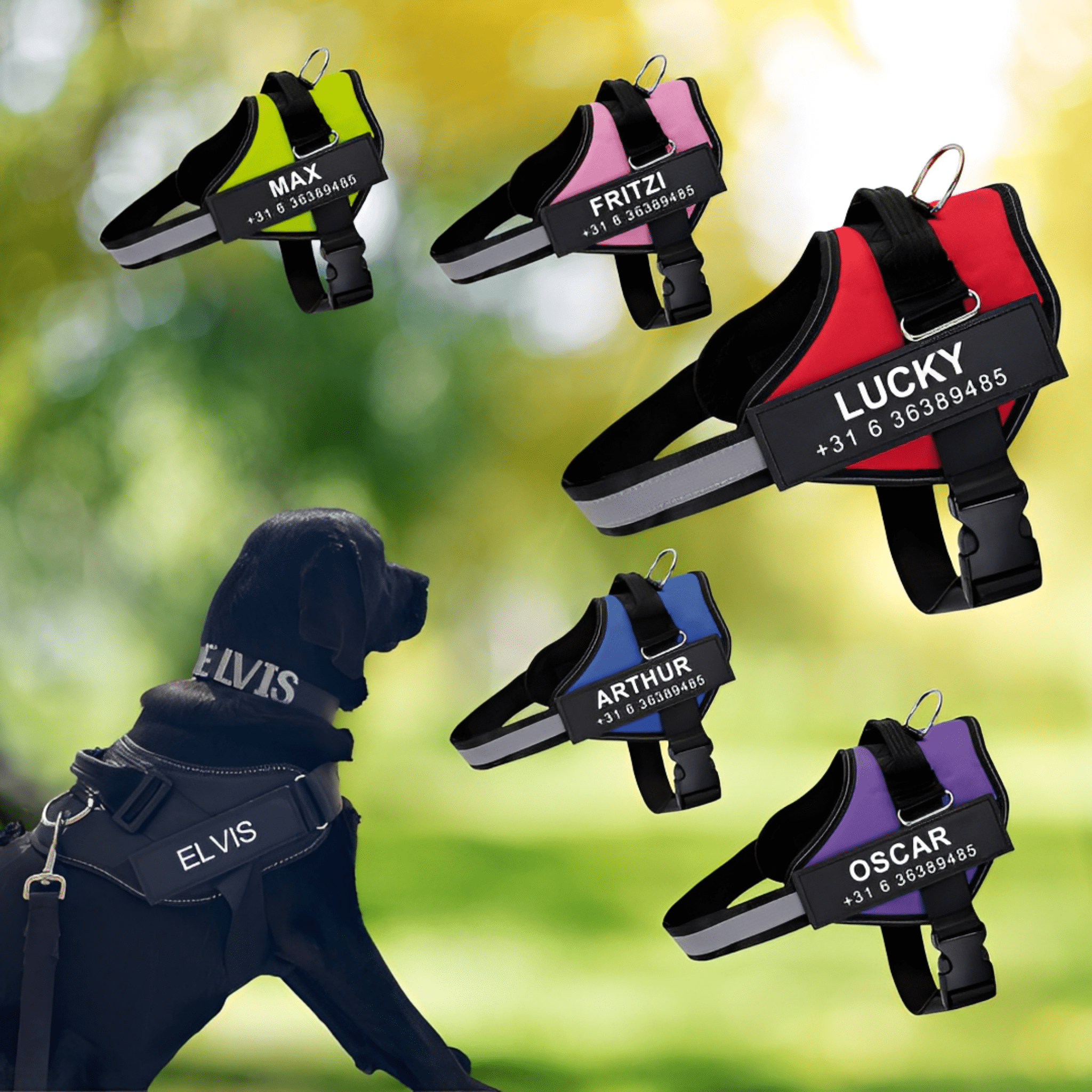 Selected Variant Image