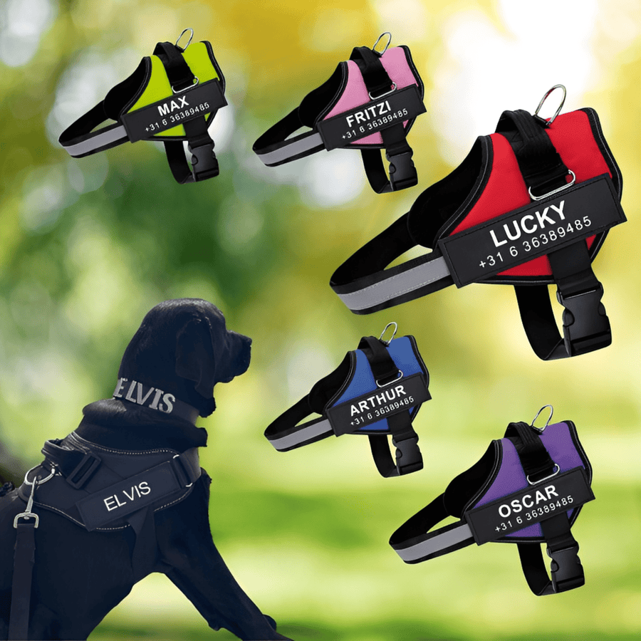 PawGuard | No Pull Dog Harness with Comfortable Fit & Personalized Name Tag for Safety 1