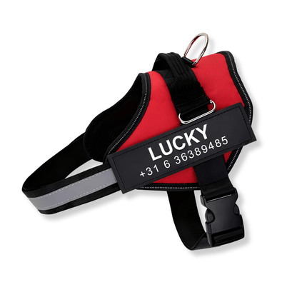 PawGuard Gepersonaliseerd Hondentuigje Voor Veiligheid 11