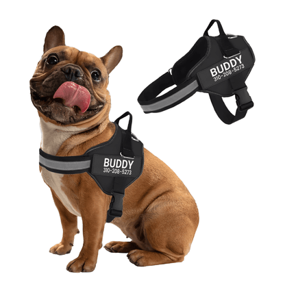 PawGuard Gepersonaliseerd Hondentuigje Voor Veiligheid 3