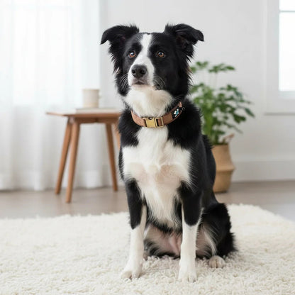 PawMate Hondenhalsband - Comfortabel en Verstelbaar 5