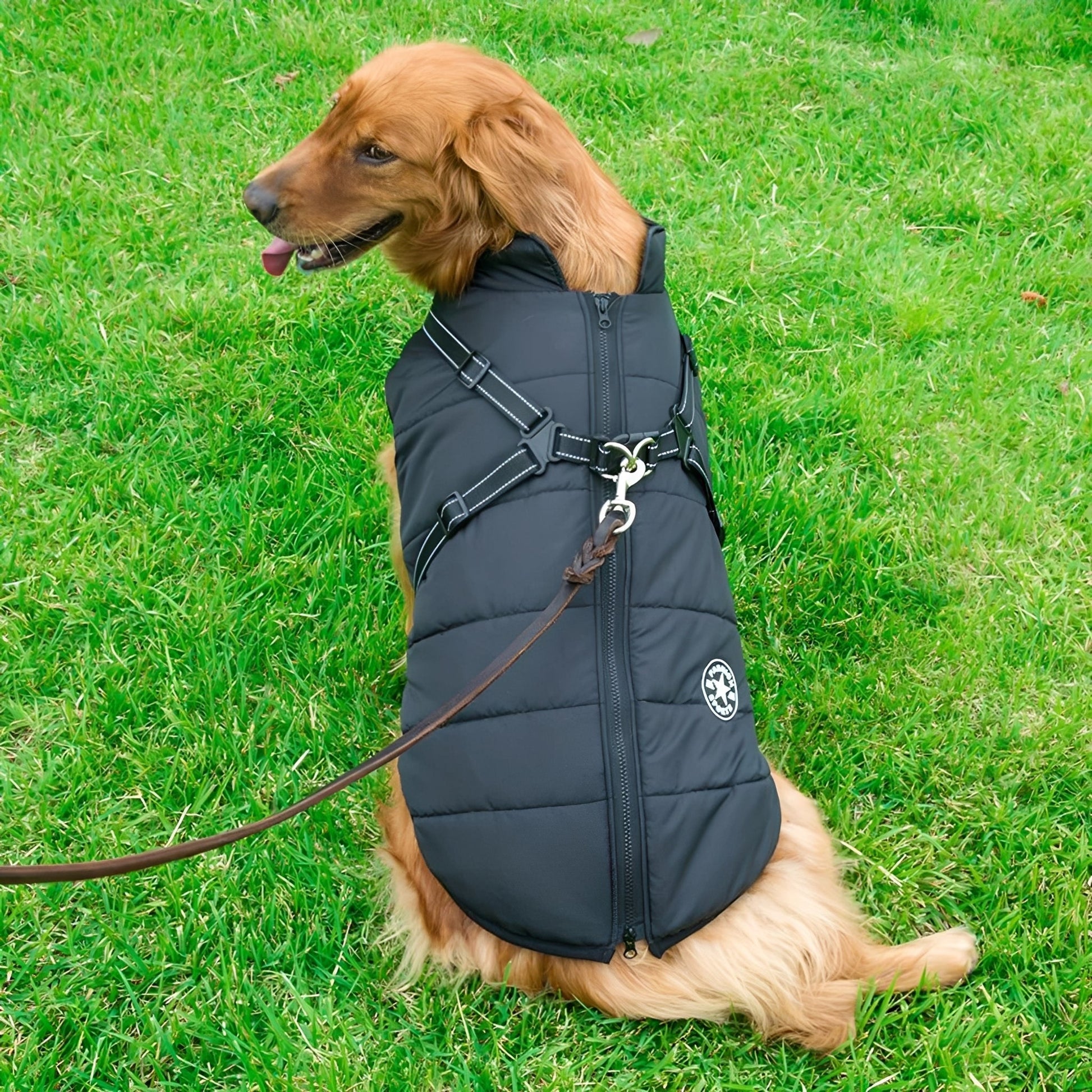 PawShield Honden Winterjas voor Warmte en Comfort 3