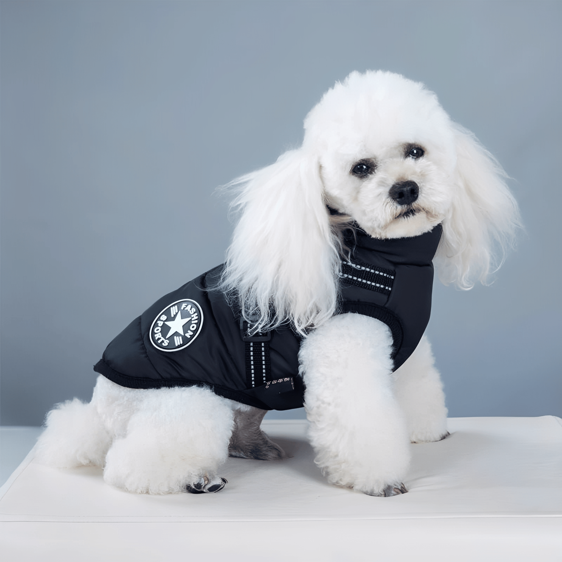 PawShield Honden Winterjas voor Warmte en Comfort 5