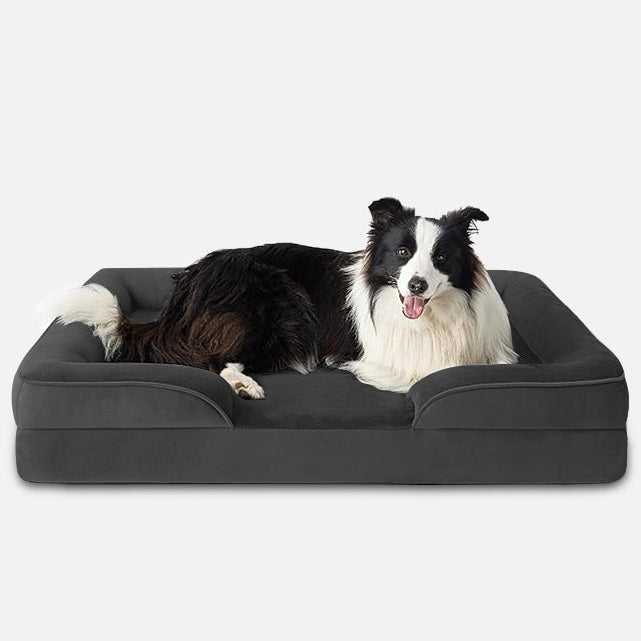 Premium Orthopedisch Hondenbed met Traagschuim, 4-Zijdige Bolsters en Antislip Onderzijde 9