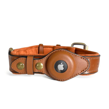 Veilige ingebouwde AirTag houder in TrackCollar halsband