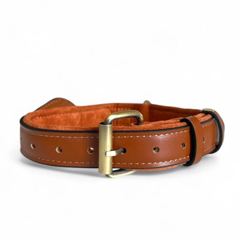 TrackCollar™ | Stijl & veiligheid