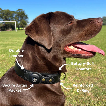 Echt leer waterbestendig TrackCollar halsband