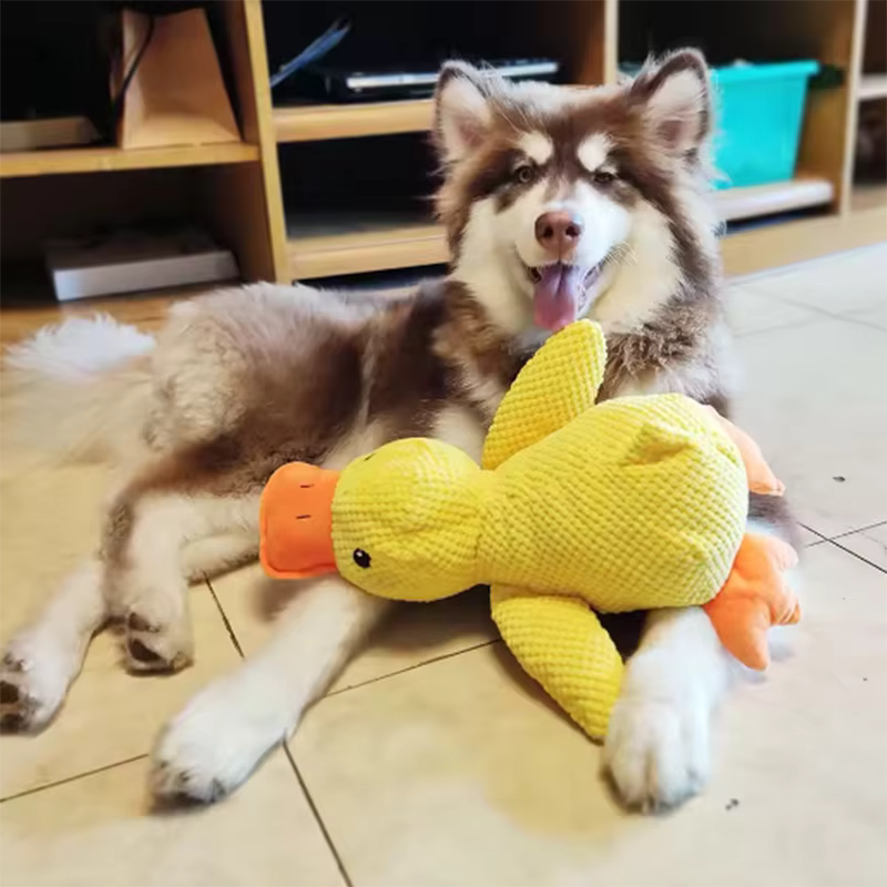 CalmDuck™ | Rust voor angstige honden