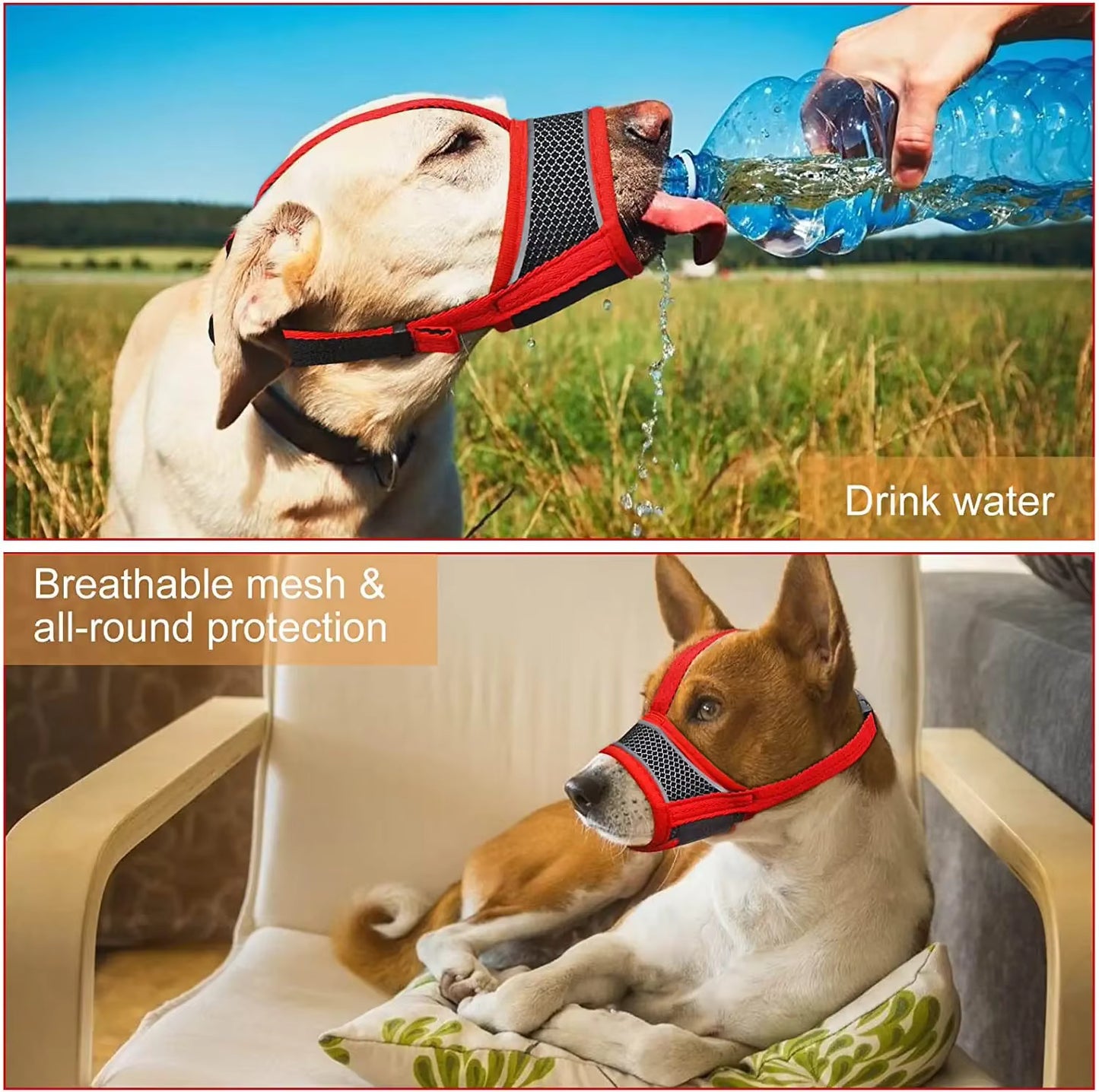 ReflectiveComfort™ Honden Muilkorf – Ademend & Veilig