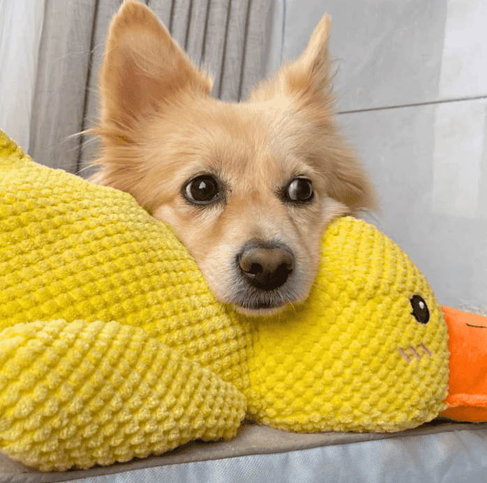 CalmDuck™ | Rust voor angstige honden