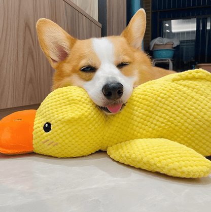 CalmDuck™ | Rust voor angstige honden