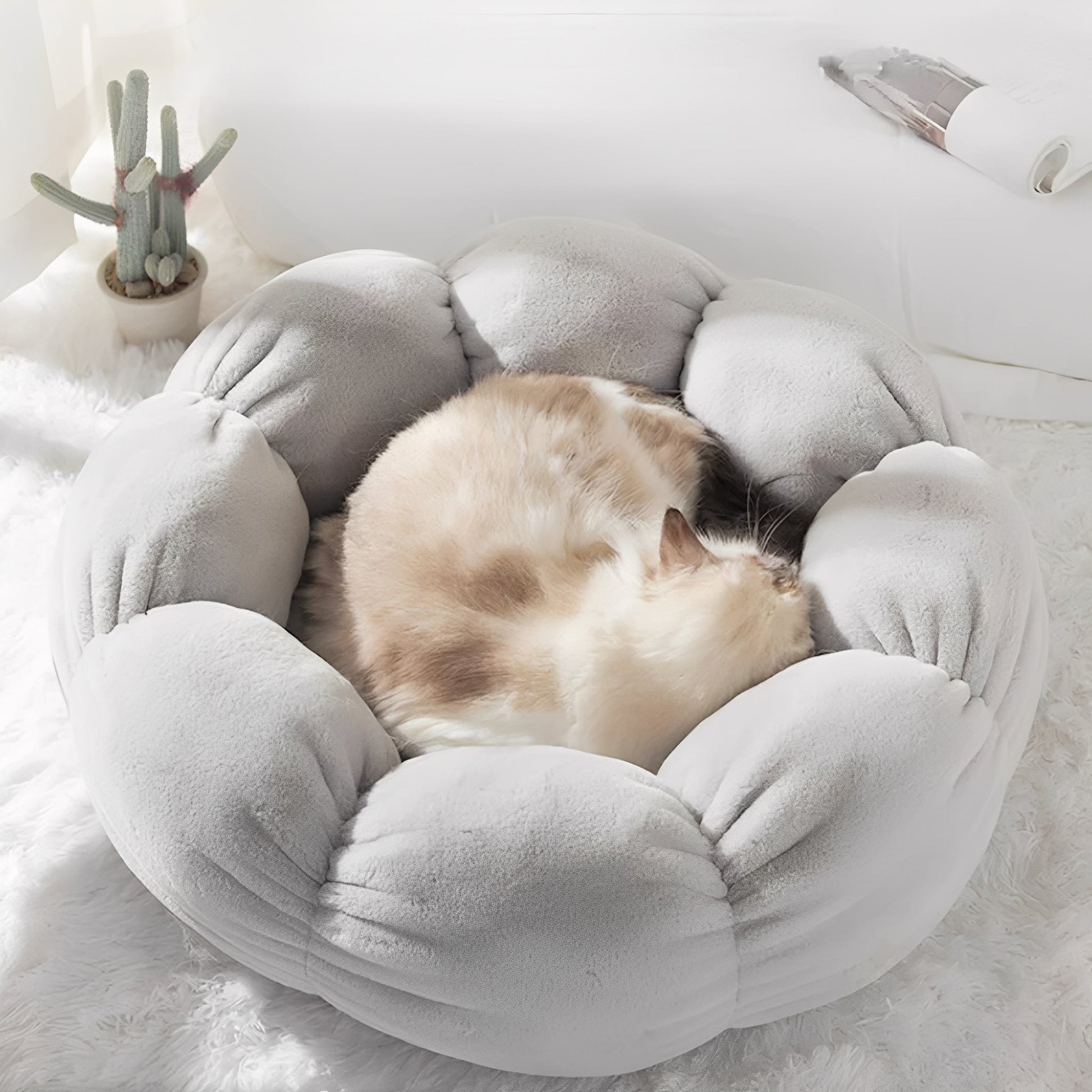 SnugBloom Kattenbed - Warm en Comfortabel Voor Jouw Kat 1