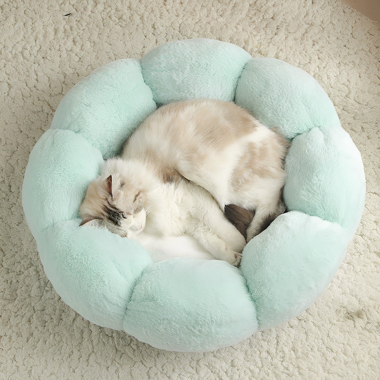 SnugBloom Kattenbed - Warm en Comfortabel Voor Jouw Kat 4