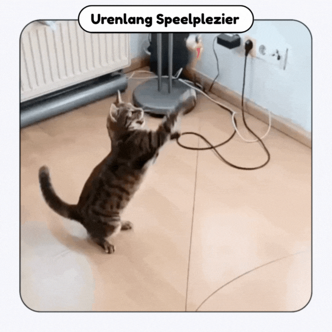 SwiftPaw™ Interactief Kattenspeelgoed met Zuignap - Zelfspelende Hengel met Vogel & Muis - Tegen Verveling & Stress