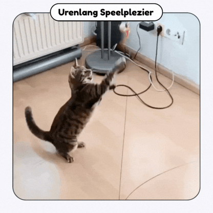 SwiftPaw™ Interactief Kattenspeelgoed met Zuignap - Zelfspelende Hengel met Vogel & Muis - Tegen Verveling & Stress