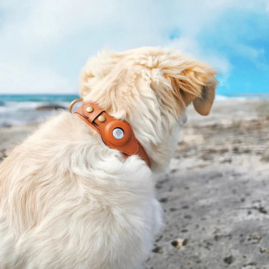 TrackCollar leren GPS halsband met Apple AirTag houder voor honden