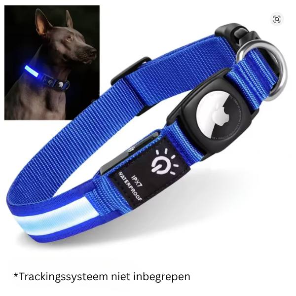 GlowTrack GPS Hondenhalsband - Veiligheid en Zichtbaarheid