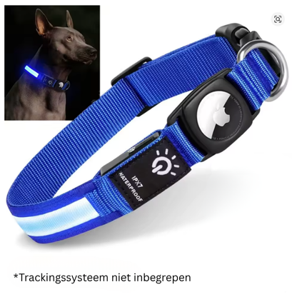 GlowTrack GPS Hondenhalsband - Veiligheid en Zichtbaarheid
