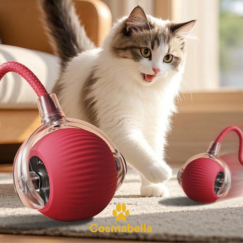 ChaseJoy™ Interactieve Speelbal – Tegen Verveling