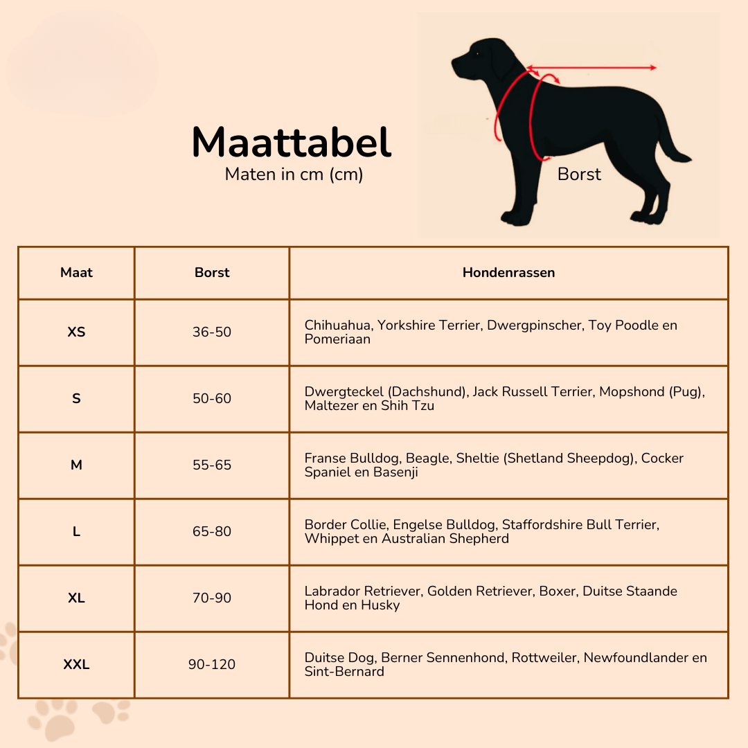 Gepersonaliseerd Hondentuigje - Veiligheid