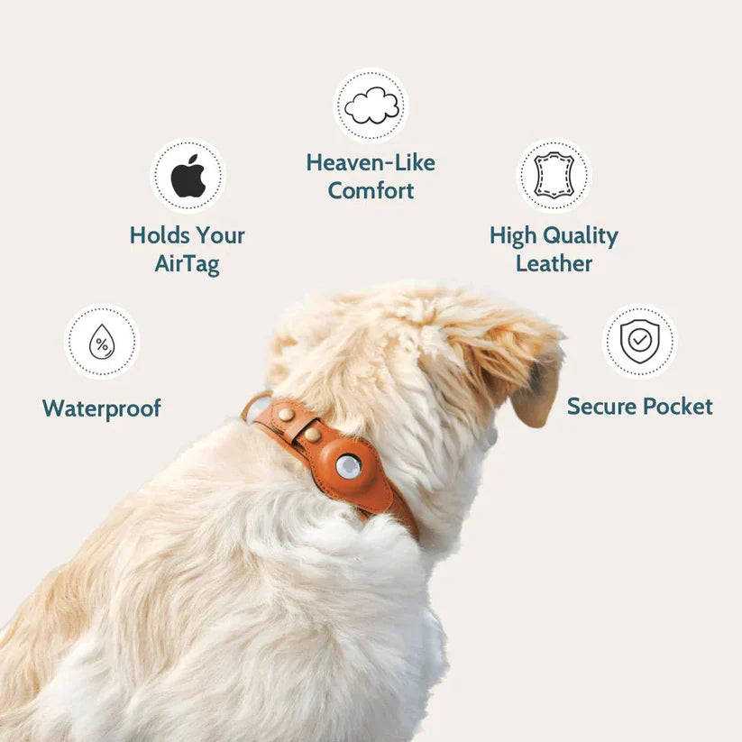 Veilige ingebouwde AirTag houder in TrackCollar halsband