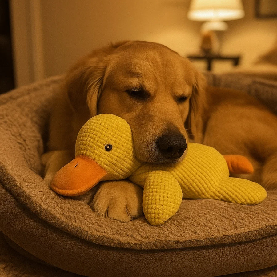 CalmDuck | Plush Dog Toy with Ultra-Soft Texture & Durable Design | Comfort for All Dog Sizes 1