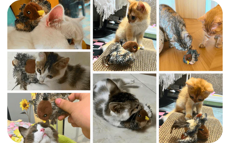 BirdChase™ | Jacht & plezier voor katten