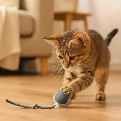 Kat jaagt ChaseJoy bewegend speelgoed