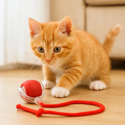 Kat jaagt ChaseJoy bewegend speelgoed